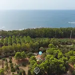 Casa Flamingo *